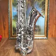 Alto Saxophone Professional Saxophone Performance Instrument ---