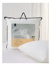 [Easy Rest] Cloud Support Microplush European Pillow in White