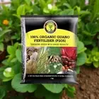 2kg Seabird Guano Fertilizer - Flowering + Trace Elements Organic Fertiliser