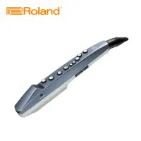 在飛比找Yahoo奇摩購物中心優惠-ROLAND AE-01 Aerophone mini 數位