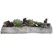 Uttermost Charita Lush Succulents - 60174