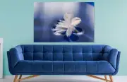 flowers-turquoise-blue-beauty- WALL ARTS high quality Canvas home decor