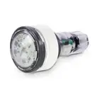 Pentair EC-620429 MicroBrite White LED Light 100' - Limited Warranty