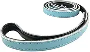 Newtensina Pets Leashes Leather Soft Puppies Leash Dog Lead for Dogs - 4ft - Blue - S