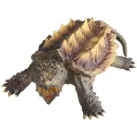 在飛比找蝦皮購物優惠-恐龍動物模型 大鱷龜 真鱷龜 龜