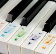 QMG Piano Keyboard Stickers for 88/76/61/54/49/37 Key Large Letter Piano Sticker