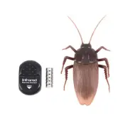 Top Infrared Remote Control Mock Fake Ants/ Cockroaches /Spiders RC Toy for4699