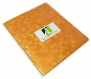 Waterproof PVC Double Bed Mattress Protector Plastic Bed Sheet 6' x 6.5' AU