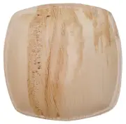 ATMOS GREEN 25 pack 6" Quadrato Square Palm Leaf Bowl Compostable disposable ...