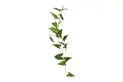 Faux Anthurium Vine 105cm