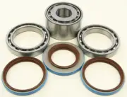 All Balls Racing Differential Bearing and Seal Kit Rear 25-2098