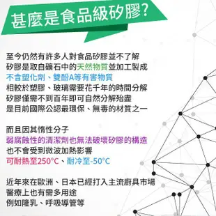 矽膠保鮮密封袋 1000ml 食品級真空保鮮袋 可微波爐 飲品 蔬菜 水果 分類袋