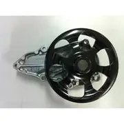 Powermax Water Pump - W8166