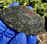 meteorite: NWA 16481Weight 7.802 Gram. Beautiful Martian Shergottite