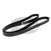 Gates Micro-V Belt - 6PK1855