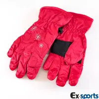 在飛比找博客來優惠-Ex-sports 防水保暖手套 超輕量多功能(女款-720