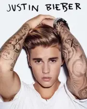 Justin Bieber Diary by Darrell Butters (English) Paperback Book
