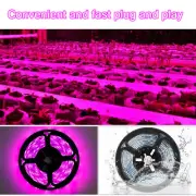 LED Grow Light Strip UV Full Spectrum Strip USB Growing Lamp Plant Indoor Flower
