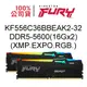 金士頓 FURY Beast 32GB DDR5 5600 16G X2支 RGB EXPO 記憶體 KF556C36BBEAK2-32
