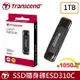創見 SSD 1TB ESD310C USB3.2 Type C 1TB 1T 雙介面固態行動碟-星鑽黑x1