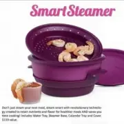 TUPPERWARE Purple SMART STEAMER 4 Pc. Microwave Cooker Set-NEW