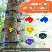 Ninja Tree Climbing Kit with 12 Climbing Holds and 6 Ratchet Straps