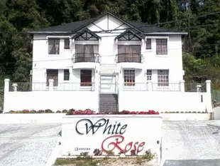 白玫瑰公寓White Rose Apartment