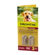 VQ Drontal Chewable Large Dog Pack of 2 Pack of 20 Dog Allwormer Chews Worming