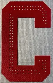 2025 DETROIT RED WINGS STADIUM SERIES JERSEY CAPTAIN "C" PATCH DYLAN LARKIN