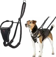 HALTI No Pull Harness - to Stop Your Dog Pulling on The Leash. Adjustable, Lightweight and Easy to Use. Reflective Dog Training Harness for Toy and Small Dogs (Size XS, Black)