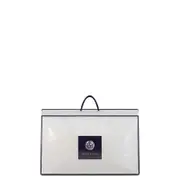 Accessorize Premium Hotel Pillow