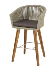 Peyton Lane Indoor/Outdoor Bar Stool