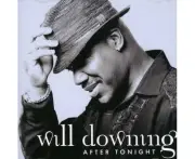 After Tonight -Downing, Will CD