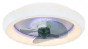 LED Lamp Ceiling Fan With Light and Remote Control Joey 45 CM