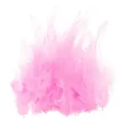 200 Pcs 3-5" Rooster Feathers Bulk Natural Feather for Crafts Pink