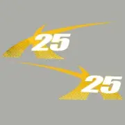 MasterCraft Boat Decals 7501456 | X25 Yellow (Set of 2)
