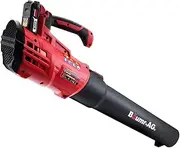 Baumr-AG 20V Cordless Leaf Blower 20V 2.0Ah Lithium-ion Battery w/Charger Kit with 5-Speed Blowing Capacity and Lightweight One-Hand Operation, BL3