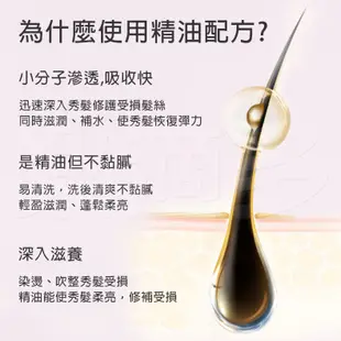 Maafei瑪菲玫瑰精油洗髮精 500ml/瓶 專業沙龍使用 洗髮精