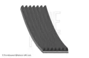 DRIVE BELT BLUE PRINT AD07R1036 FITS RENAULT
