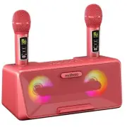 Karaoke Machine for Adults and Kids with 2 Wireless Microphones, Portable