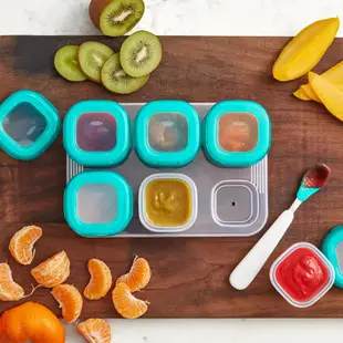 【美國 OXO】tot 好滋味冷凍儲存盒 冰格 -共3款《WUZ屋子-台北》儲存盒 冰格 分裝盒 副食品