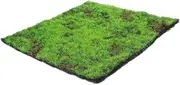 Yardenfun DIY Artificial Moss Lawn 30x30cm Synthetic Turf Tiles Easy to Install Versatile Dec