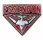 33680 ESSENDON BOMBERS AFL TEAM LOGO MASCOT LAPEL TIE HAT PIN