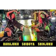 Save 30.00%! Tokyo Shibuya Go-Kart Experience! Monster-Kart