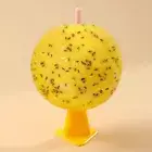 Fruit Fly Traps Useful Sticky Traps Multifunction for Fruit Fly Hoverfly Gnat