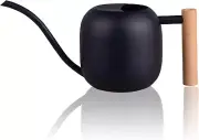 IMEEA 1L/35oz Watering Can Indoor Stainless Steel Watering Can Black Water Ca...