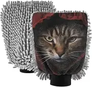 XYMZR Cat Red Hat Black Absorbent Microfiber Car Wash Mitt, Funny Cute Anime Scratch Free for Cars Cleaning, Home Cleaning Mitts, 2 Pack, 10.24” L x 7.09” W