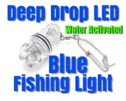 Deep Drop Blue LED Fishing Light Grouper,Swordfish, Tile Fish