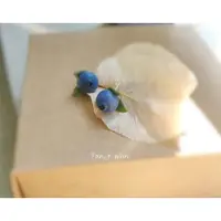在飛比找ETMall東森購物網優惠-藍莓可愛水果個性節日禮物耳環