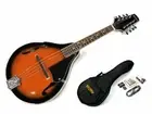 Bryden Mandolin Teardrop 'A' Style Bag Tuner Strap Strings & Picks